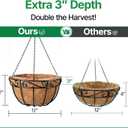 AMAGABELI GARDEN & HOME 4 Pack 12 Inch Metal Plant Hanging Baskets Planter Flower Pots Outdoor Indoor Wire Hanging Basket for Vegetable with Coco Fiber Liners for Garden Home Porch Decor