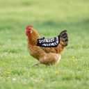 4 x Chicken Saddle for Hens for Protection, 7.48 Inch Comfortable Hen Aprons with Adjustable Strap Chicken Clothes Back & Side Protector Outdoor Poultry Protective Accessories (Black and White)