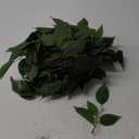 mizii 2 Strands Artificial Vines Ivy Garland 71" Fake Vine with Silk Green Leaves Faux Hanging Plants Greenery Decoration for Bedroom Home Wall Party Wedding Arch Apartment Room Decor (Ficus)