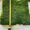 Preserved Sheet Moss Natural Green Decorative Real Natural Green DIY Kit Gardenning Art Wall Decor Florist Decor Easter Table Decor Wedding 2 sq.ft.Green-B