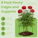Lancisism 8 Pack Peony Cages and Supports - Heavy Duty Grow Through Metal Plant Support for Outdoor Plants - Plant Support Frame Ring for Rose Tomato Hydrangea Sage Strawberry 12" D x 16" H