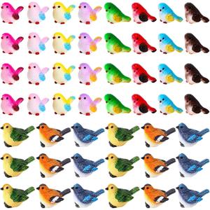 Wenqik 50 Pcs Mini Resin Bird Figurines Miniature Small Birds Figurines Realistic Animal for Fairy Terrarium Craft Garden Accessories Home Ornament Micro Landscape Birthday Cake Topper Decor