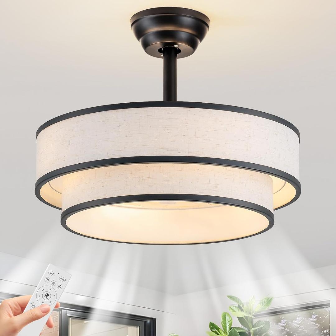 20" Modern Fandelier Caged Ceiling Fan with Light and Remote, Black, Medium