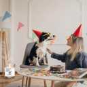 Dog Themed Gifts Candles - Lavender Scented Candle - Dog Mom Gifts for Women for Mothers Day - 100% Soy Wax, Long Lasting - pet Odor Eliminator Candle