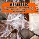 2 x Seasons Spider Web Halloween Decoration, Super Stretch Cobwebs with 30 Plastic Spiders for Halloween Indoor and Outdoor Decor, for 800 Sq. Ft. Use
