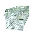 24" Small Collapsible Humane Live Animal Cage Trap No-Kill Trapping Kit for Humane Catch Release Rodent Small Cat, Rabbits, Squirrel, Opossum, Squire, Raccoon, All Fit Sized Animals, 2-Doors
