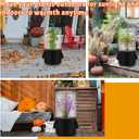 1PCS Mini Plant Greenhouse with Felt Planting Bag, Winter Garden Pot Covers Transparent Plant Frost Protection Cover Portable Planter with Support Rod for Outdoor Plants or Seedlings, 29.5" X 11.8"