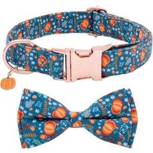 Faygarsle Bow Tie Dog Collar Halloween Fall for Small Medium Large Dogs Fashionable Cute Collars for Male Female Dogs Orange Cotton Collar with Metal Buckle Pumpkin Chestnuts Pattern M