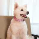 Impoosy2PCS Dog Halloween Collar with Pet Ghost Leash Set Cat Gift Adjustable Dog Cute Collars for Small Medium Large Pets Dogs Cats (X-Lrge, Pink) (XL (19"-26"))