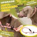 Fida Durable Slip Leads for Dogs, 6 FT x 3/8" Heavy Duty Dog Loop Leashes, Comfortable Strong Rope Slip Leash for Small Dogs and Puppies, No Pull Pet Training Lead with Highly Reflective(3/8", Pink)