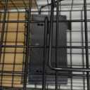 Live Squirrel Trap Heavy Duty Humane Animal Cage Trap (No Assembly Required) (Black)