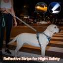 PHOEPET No Pull Dog Harnesses for Small Puppies Reflective Adjustable Front Clip Vest with 2 Metal Leash Attachment Hooks Soft Handle(XS, Blue)