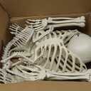 Wocst 5.4Ft/165cm Halloween Skeleton Full Body Life Size Human Bones with Movable Joints for Indoor Outdoor Halloween Props Decorations