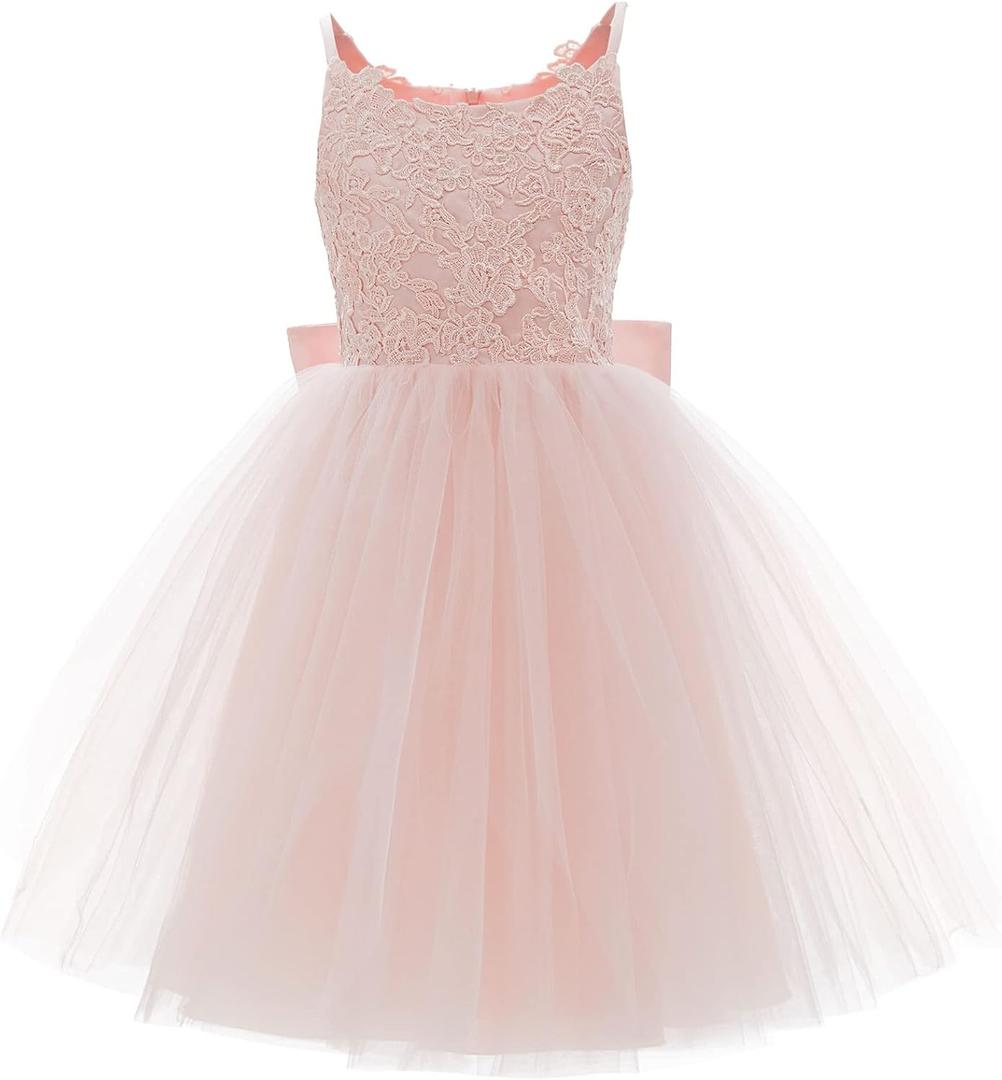 PLwedding Flower Girls Lace Tulle Ball Gowns First Communion Dresses (2-T,  Pink)