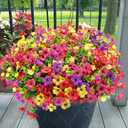Yastouay Artificial Flowers for Outdoors, 36 Bundles Artificial Flowers for Decoration UV Resistant, Realistic Artificial Plants & Flowers Fake Flowers for Front Porch Window Box Outdoor Spring Decor (Purple+fuchsia+red+yellow)