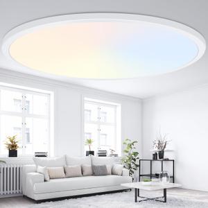 19 Inch Dimmable Large Flush Mount Ceiling Light Fixture, 4200LM | 36W 2700K/3000K/4000K/5000K/6500K Selectable Round Flat Panel Light, 0.67" Ultra Thin LED Ceiling Lamp for Living Room, White