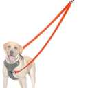 PetBonus Two Point Control Dog Leash, Works with No Pull Harnesses, No Tangle Training Leashes, Soft Padded and Reflective Walking Lead, Converts to Single Lead for Medium Large Dogs (Orange)