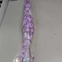 Cherry Blossoms Umbrella Cute Transparent Bubble Umbrella Clear Dome Semi-Automatic Sunny Umbrella for Kids Girls Boys or Women Romantic Windproof Wedding Decoration Umbrella (Purple)