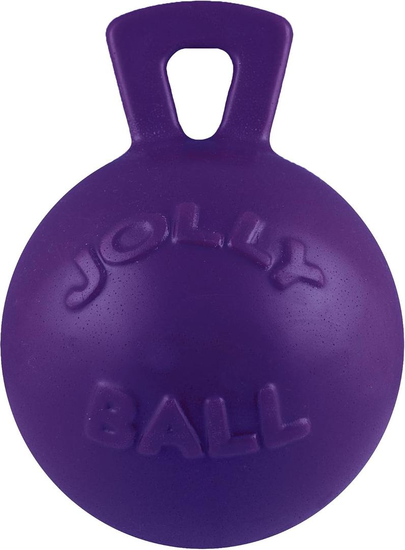 Jolly Pets Tug-n-Toss Heavy Duty Dog Toy Ball with Handle, 8 Inches/Large, Purple