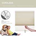 Changshade Cordless Cellular Shades, Light Filtering Honeycomb Blinds for Indoor Windows Bedroom, Pull Down Pleated Accordion Blind Easy Install, Shade Size 28" Wx50 H, Beige