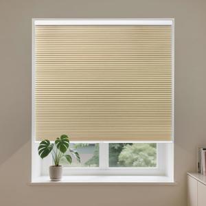 Allesin Cellular Shades Cordless Blackout Honeycomb Blinds for Indoor Windows, Thermal Insulated Window Shades Noise Reduction, Easy to Install, Perfect for Bedroom/Living Room, Beige 27" W x 64" H Allesin Cellular Shades Cordless Blackout Honeycomb Blinds for Indoor Windows, Thermal Insulated Window Shades Noise Reduction, Easy to Install, Perfect for Bedroom/Living Room, Beige 27" W x 64" H