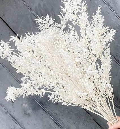 15 Pieces Dried White Italian Ruscus Eucalyptus - Real Preserved Ruscus Stem Branches, Real White Dried Floral Plant Pampas Green Leaves Bundle for Boho Wedding Party, Home Decor, Vase Filler