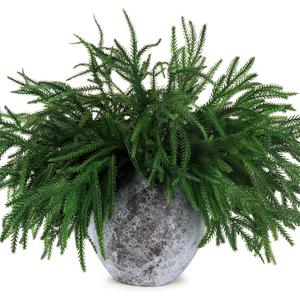 16 Pcs Christmas Norfolk Pine Branches Picks,18" Extra Length Artificial Xmas Branches Plants Pine Stems Needles, Fake Greenery Norfolk Pine Stems Sprigs for DIY Craft Garland Home Garden Decor