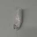 French Toast Girl's Short Sleeve Peter Pan Collar Blouse (Standard and Plus) (7, White)