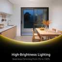 LED Ceiling Light with Bluetooth Speaker | 20 inch,60W,1-PACK,Color Changing Dimmable,Compatible with Alexa,Google Home,Semi-flush mount,for Living Room,Bedroom,Kitchen
