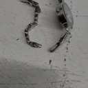 Anne Klein Women's Premium Crystal Accented Silver-Tone Watch and Bracelet Set