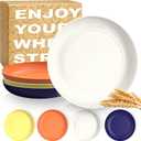 Wheat Straw Dinner Plates Set 10 Inch Reusable Unbreakable Microwave & Dishwasher Safe Plates for Kitchen 4 PCS - Mondrian Color