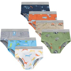 Hanes Trainer Briefs, Light Leaks Potty Training Underwear for Toddler Boys, Multipacks (4-5T, Days of the Week, Blue, Tan, Green) 7 Pack
