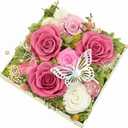 HipTree Preserved Pink & White Rose with Butterfly - Forever Eternal Real Austin Rose Gifts for Women, Valentine’s Day Mother’s Day Birthday Christmas Wedding Anniversary for Mom Wife Girlfriend