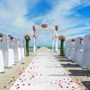 Thickened Aisle Runner for Wedding CeremonyFeet White Aisle Runner Walkway for Indoor Outdoor Wedding Church Decorations Halloween Parties can Also use a Carpet50g(Vine, 3x50Feet)