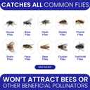 Fly Traps Outdoor Fly Trap for Patio. 9 Non-Toxic Pre-Baited Flies Bags Outdoor Disposable. Hanging Bug Catchers for All Filth Flies Killer for Outside Bug Control in Yard Horse Ranch Trash Can