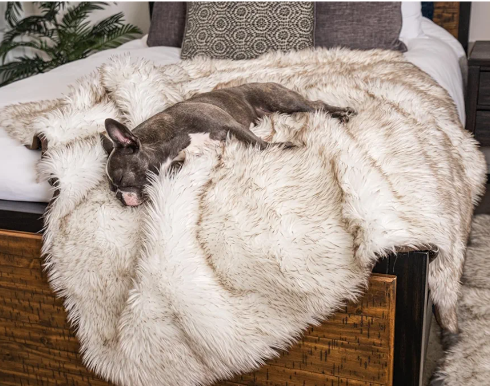 PupProtector Waterproof Throw Blanket for Dogs and Cats, Pet Blanket Cover for Couches, Sofas, Beds, Car Seats, Furniture, Calming Soft Faux Fur, White with Brown Accents, Original (60" L x 50" W)