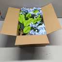 2 Pack 3ft Artificial Hydrangea Tree Faux Hydrangea Plant Indoor Outdoor Fake Flower Tree with Cement Base Pot Real to Touch Plant Decoration for Home Garden Office Housewarming Wedding(Pink)