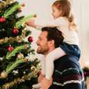 2 x 16pcs Christmas Tree Toppers, 14.96 in Plastic Green Pampas Grass Decor with Red Balls Elf Ornaments Stems Curly Tree Picks for Christmas Home Craft Decoration Supplies