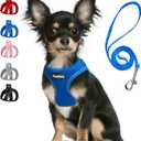 PetiFine Step in Small Dog Harness and Leash Set, Breathable All Weather Air Mesh Reflective Escape Proof, Step-in Vest Harnesses for Puppy(XS, Baby Blue) (XS | Neck: 12.2''-13'' Chest:14.2''-16.1'' |)