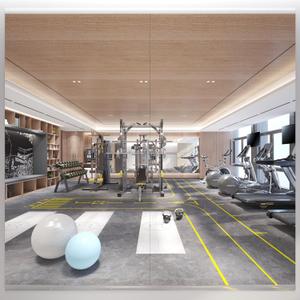 71X32 2Pack Large Home Gym Mirror, Frameless Tempered Glass Dance Wall Mounted Mirror for Home, Yoga, Dancing, Studio, Living Room