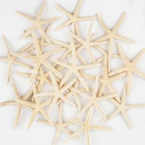 20 PCS Small Starfish for Crafts 2" to 4" Natural Starfish Decor Bulk, for Wedding Beach Theme Decor Home DIY Crafts Decor Christmas Tree Starfish Ornaments