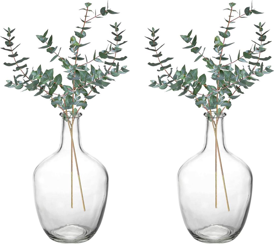 Hacaroa 2 Pack Clear Stout Glass Vases, 10 Inch Small Decorative Balloon Jug Vases Single Bud Neck Flower, Handmade Vintage Flower Vase for Tabletop, Centerpiece, Home, Hotel Decoration