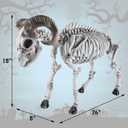 DR.DUDU Halloween Skeleton Goat Decorations, 26 Inch Long Animal Skeletons