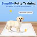 Disposable Puppy Pads 100 Count, 22"x22" Pee Pads for Dogs Potty Training, 6-Layer Super Absorbent & Leak Proof, Odor Block Pet Pads with Anti-Slip Adhesive Strips, White