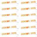 Serencatcher Basketball Senior Night Party Decorations, 12Pcs Basketball Senior 2025 Sash, Class of 2025 Graduation Gifts Senior Cheer Cheerleader Sashes Satin White Sash with Glitter Letters