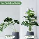 32.6in Tall Plant Trellis Indoor, Metal Garden Trellis for Climbing Plants, Expandable Trellis for Potted Plants for Ivy Pothos Hoya Monstera, 2 Pack