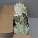 Thiccywoov 50 Pcs Delphinium Artificial Flower 35.4'' Long Larkspur Stem Silk Fake Faux Flowers Bulk for Tall Vase Floral Arrangements Home Centerpiece Table Wedding Decor (White)