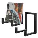 BOHUIZ 2 Pcs Vinyl Record Storage, Black Metal Tabletop Record Holder for Albums, Record Display Stand for Any Size Records