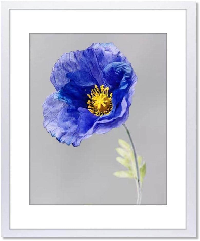 VNVNK 20x24 Frame White, Perfect for 20x24 Inch Picture without Mat or 16x20 Inch Picture with Mat, Home Wall Decor Picture Frame-1 PCS