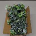 DearHouse Faux Eucalyptus Garland Plant, 2 Pack Artificial Vines Hanging Eucalyptus Leaves Greenery Garland for Wedding Backdrop Arch Wall Decor, 6 Feet/pcs UV Protected Indoor Outdoor